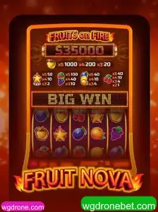 Explorando o Universo de FruitNova: Um Novo Jogo de Estratégia com Temática Frutífera